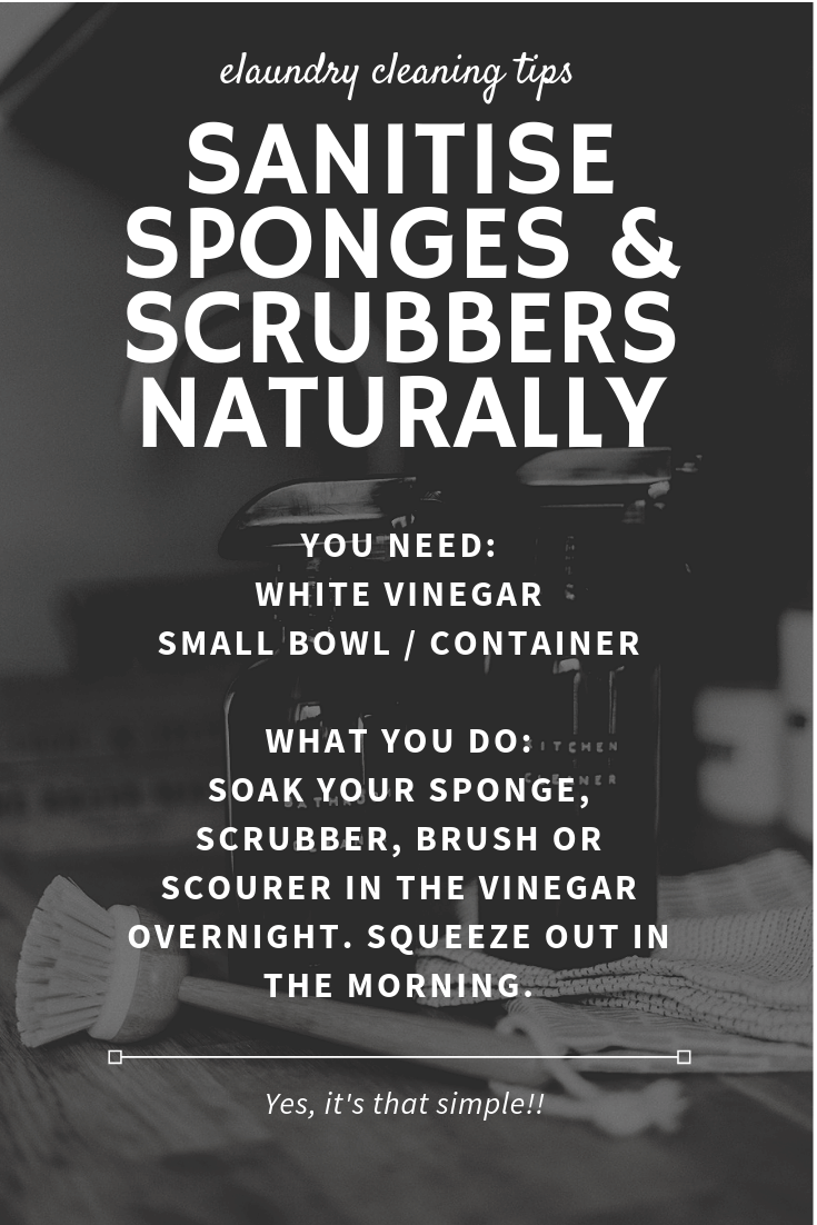 elaundry cleaning tip Sanitise sponges & scrubbers naturally