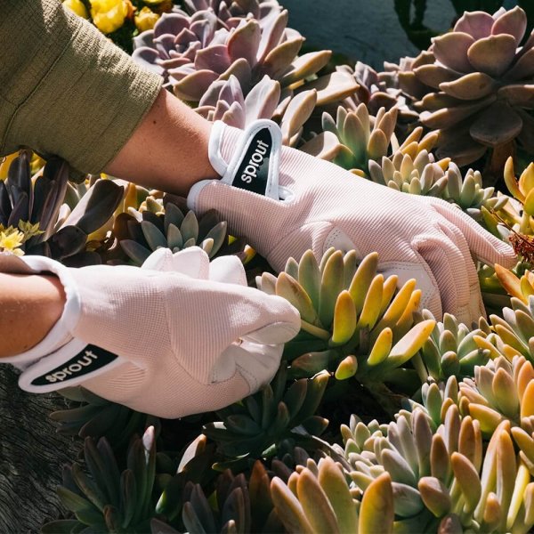Premium Sprout goatskin garden gloves are super soft, stretchy, and form fitting, so you can feel what you are touching. They make the perfect gift.