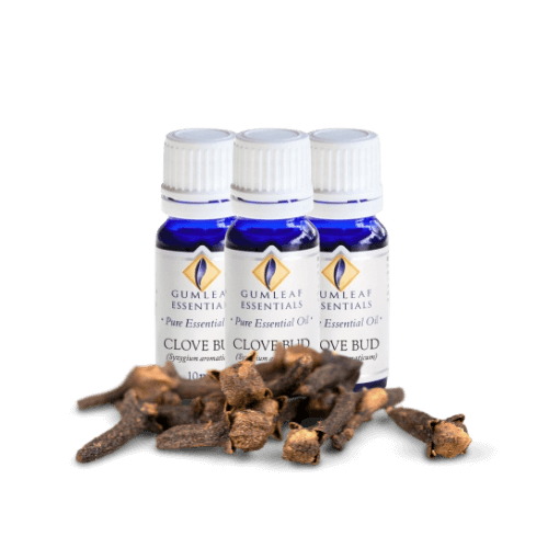 Clove Bud Essential Oil