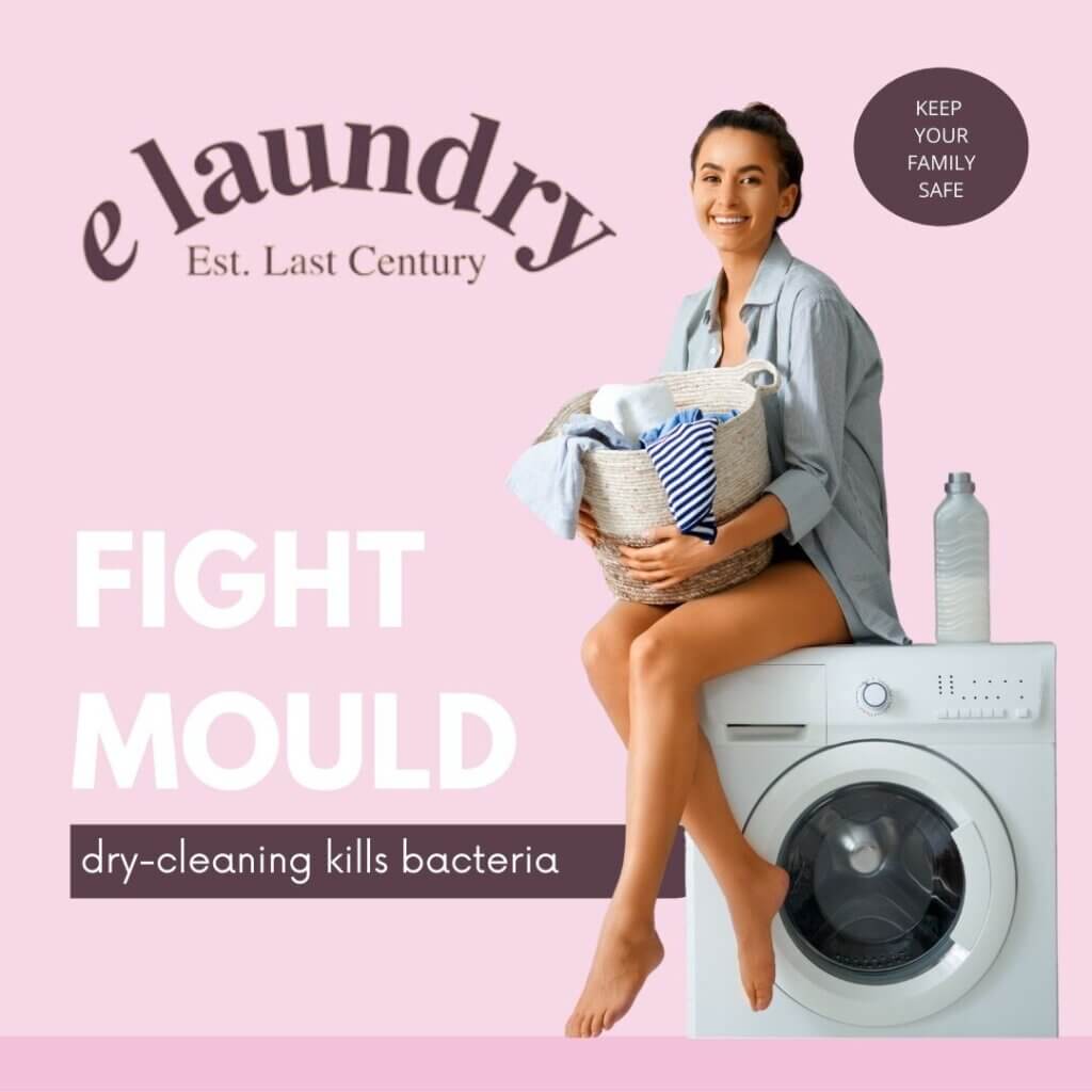 laundry & dry cleaning services